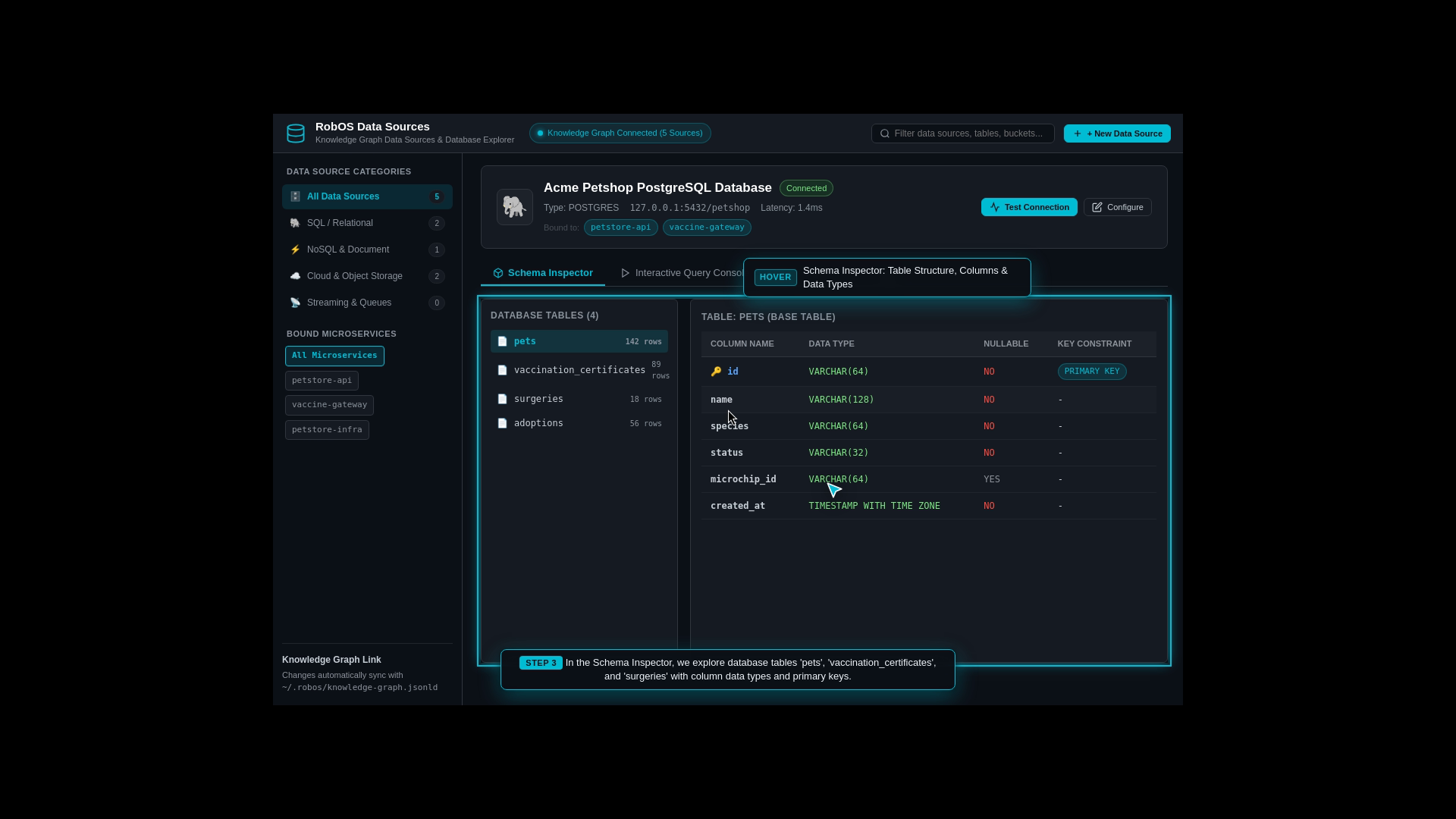 Schema Inspector