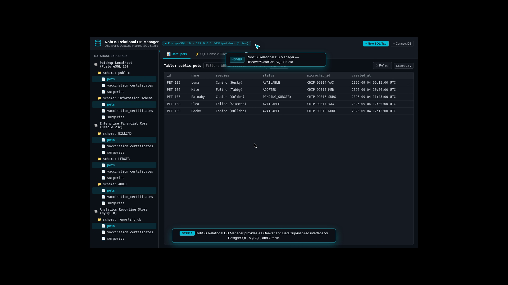 NoSQL DB Manager