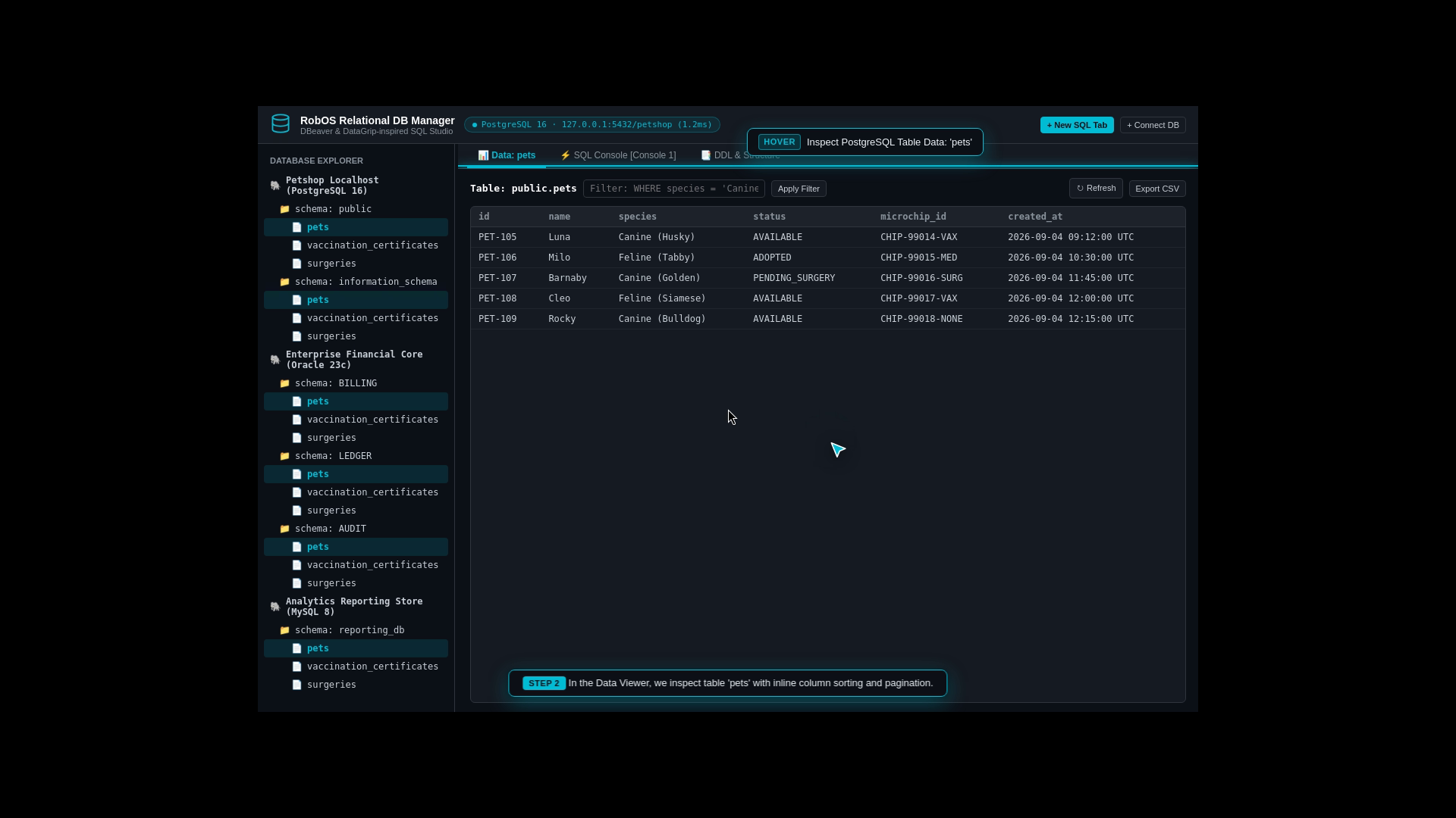 Relational DB Manager