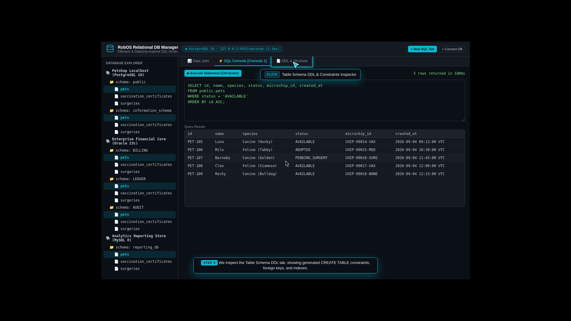 DDL Inspector