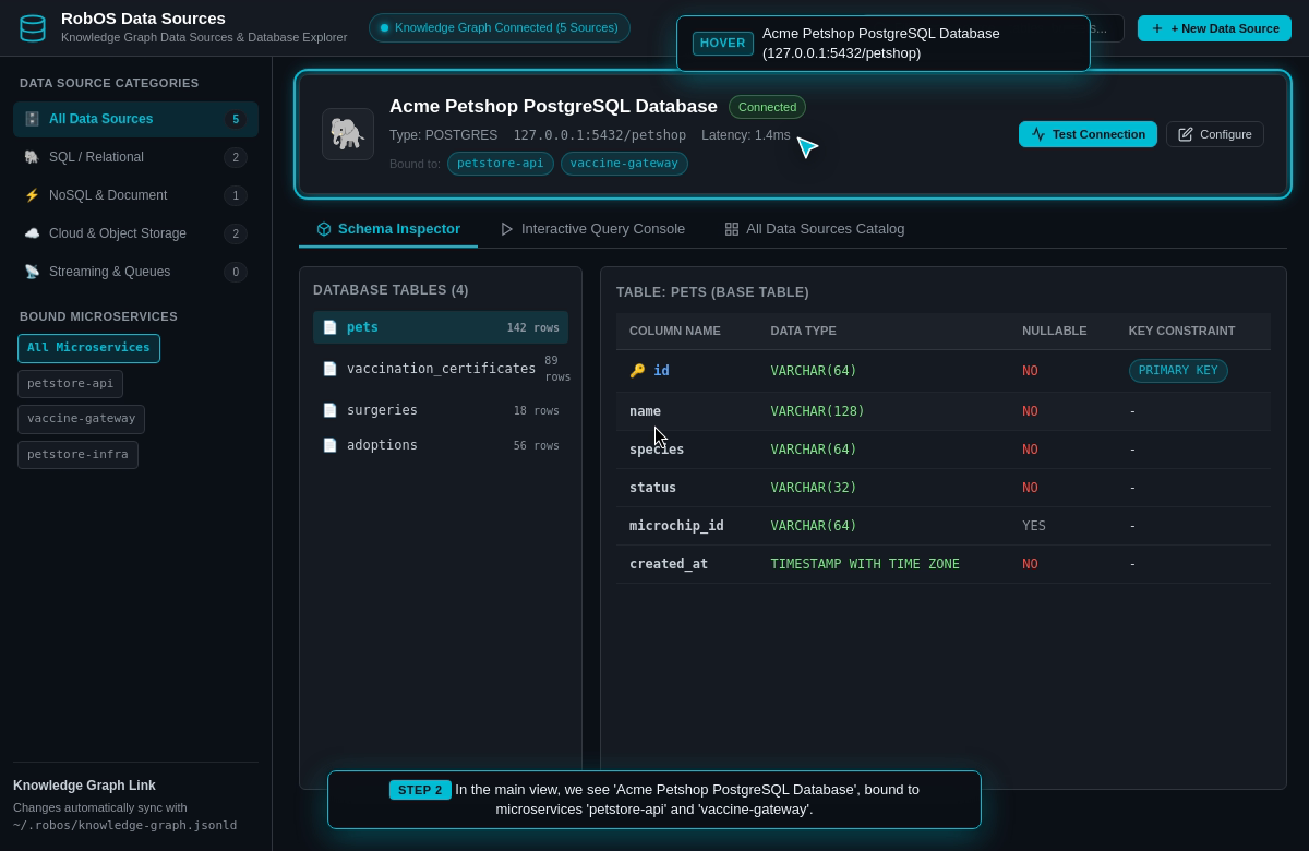 Data Sources showing a sample PostgreSQL entry bound to two services, with the Schema Inspector tab open